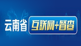 云南省“互聯網+督查”